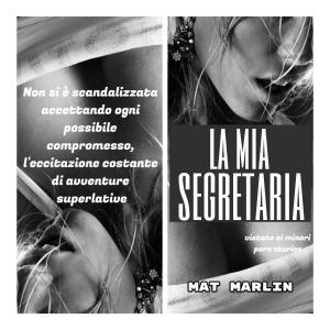 Cover of the book La mia segretaria (porn stories) by Mat Marlin