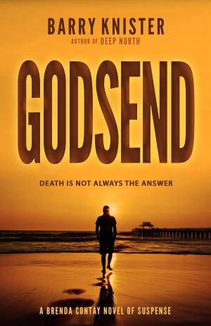 Cover of the book Godsend by Natalie Gibson