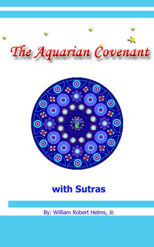 bigCover of the book The Aquarian Covenant by 