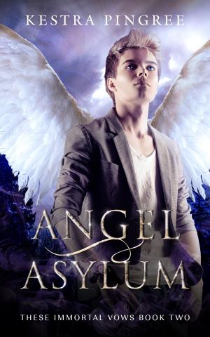 bigCover of the book Angel Asylum by 