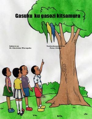 Book cover of Gasuku ku gasozi kitsamura