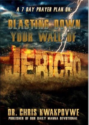 Cover of the book Blasting Down Your Wall of Jericho by Paul O Gerritson