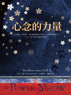 Cover of the book 心念的力量 by Victoria Gallagher