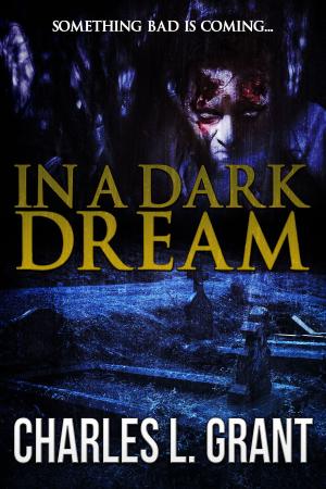 Cover of the book In a Dark Dream by Elizabeth Massie