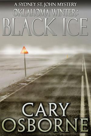 Book cover of Oklahoma Winter: Black Ice