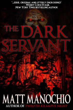 Book cover of The Dark Servant