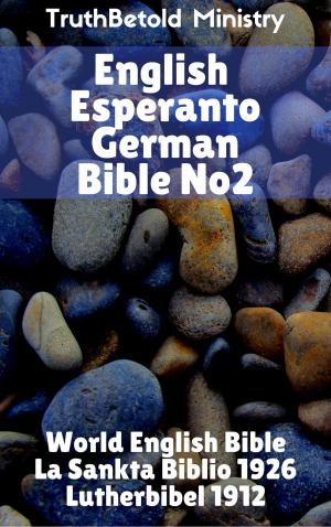Cover of English Esperanto German Bible No2