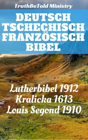 Cover of the book Deutsch Tschechisch Französisch Bibel by Virginia Woolf