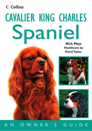 Cover of the book Cavalier King Charles Spaniel: An Owner’s Guide by Fiona Horne