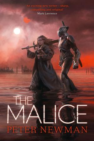 Cover of the book The Malice (The Vagrant Trilogy) by Kate West