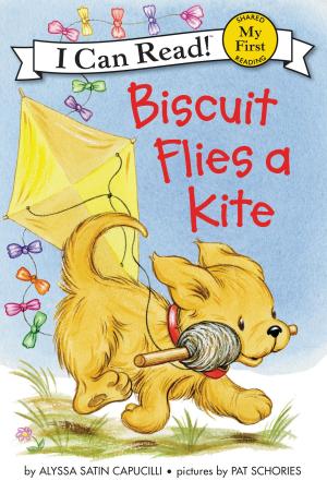Book cover of Biscuit Flies a Kite