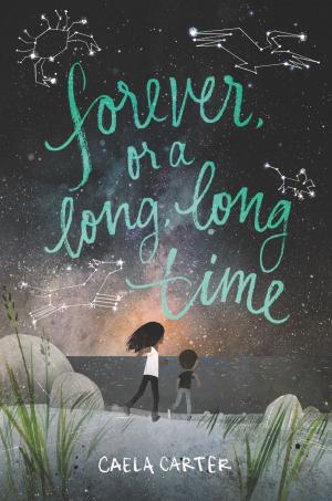 Cover of the book Forever, or a Long, Long Time by Mary Kubica