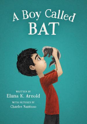 Cover of A Boy Called Bat by Elana K. Arnold, Walden Pond Press