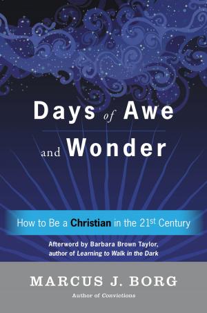 Book cover of Days of Awe and Wonder