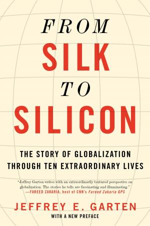 Cover of the book From Silk to Silicon by Catharina Ingelman-Sundberg