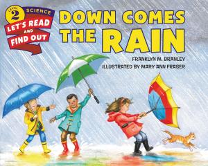 Cover of the book Down Comes the Rain by Alexandra West