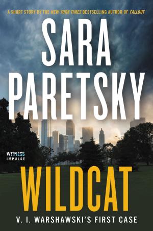 Cover of the book Wildcat by Stephen Booth