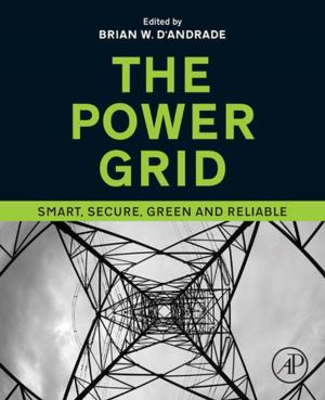 Cover of the book The Power Grid by Alan C. Bovik
