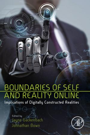 Cover of the book Boundaries of Self and Reality Online by Daniel Wallach, David Makowski, James W. Jones, Francois Brun