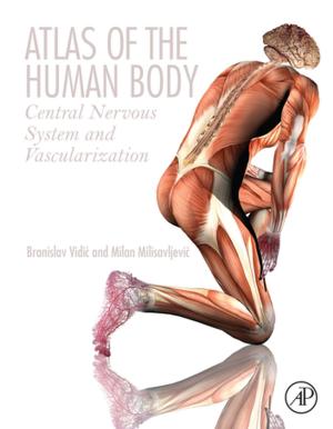 Cover of the book Atlas of the Human Body by Antonella Cupillari