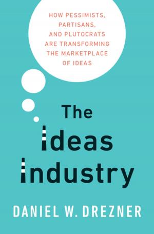 bigCover of the book The Ideas Industry by 