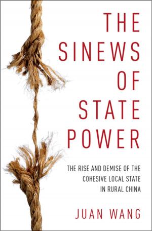 Cover of the book The Sinews of State Power by 