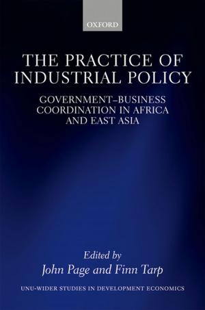 Cover of the book The Practice of Industrial Policy by Ben J. Heijdra