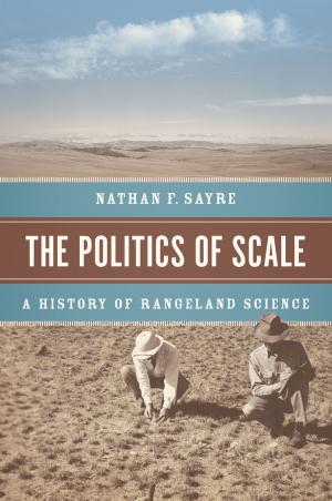 Cover of the book The Politics of Scale by Anne Allison