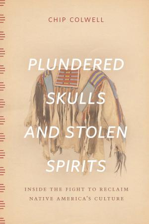 Cover of the book Plundered Skulls and Stolen Spirits by Paul Anthony Jones