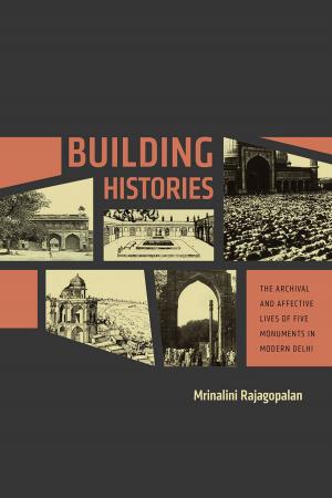 Cover of the book Building Histories by Daniel Foliard