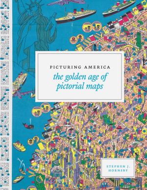 Cover of the book Picturing America by Jurgen Brauer, Hubert van Tuyll
