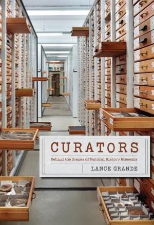 Cover of the book Curators by John T. Lysaker