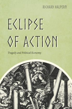 Cover of the book Eclipse of Action by Tim Halliday