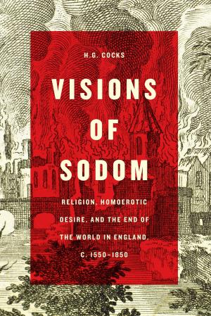 Cover of the book Visions of Sodom by Jessica Martucci