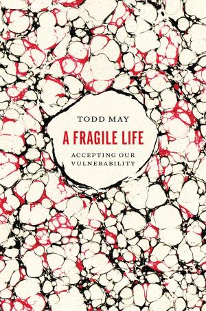 Cover of the book A Fragile Life by Thane Rosenbaum