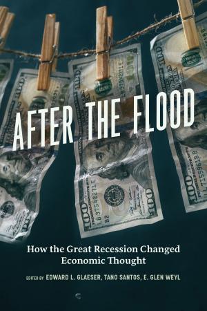 Cover of the book After the Flood by Jean Clottes