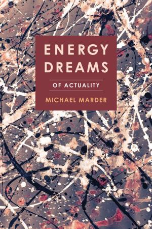 Cover of the book Energy Dreams by Israel Rosenfield, Edward Ziff, Borin Van Loon