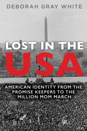 Cover of the book Lost in the USA by 