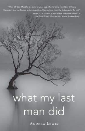 Cover of the book What My Last Man Did by Robert Lorway