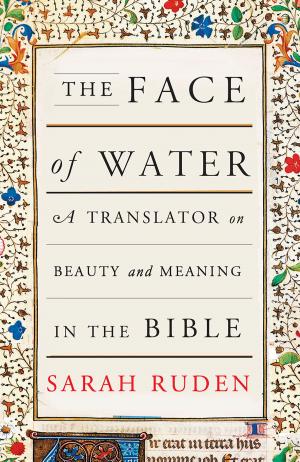 Cover of the book The Face of Water by Rachel Hulin
