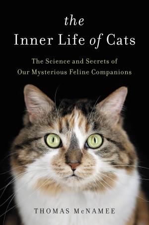 Cover of the book The Inner Life of Cats by Joy Wilson