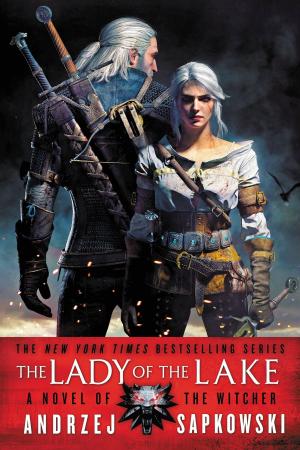 Cover of the book The Lady of the Lake by Jon Courtenay Grimwood