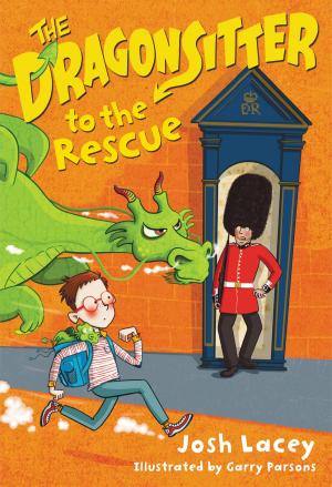 Cover of the book The Dragonsitter to the Rescue by Josh Lacey