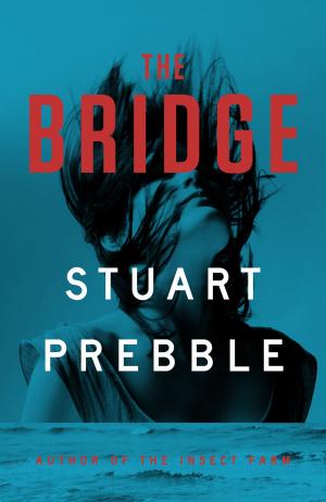 Cover of the book The Bridge by Mischa Hiller
