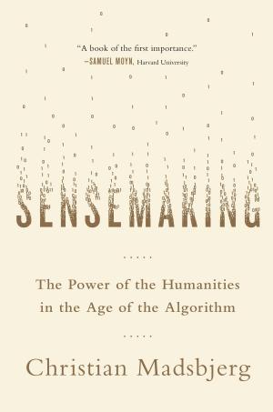 bigCover of the book Sensemaking by 
