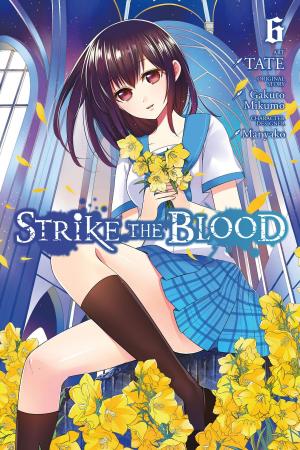 Cover of the book Strike the Blood, Vol. 6 (manga) by Yana Toboso