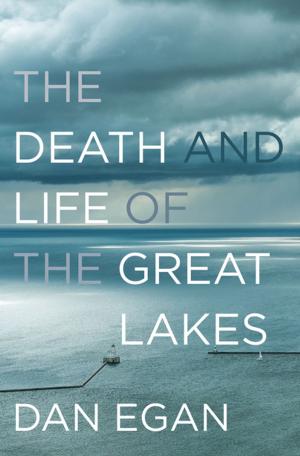 Cover of the book The Death and Life of the Great Lakes by Lawrence D. Rosenblum