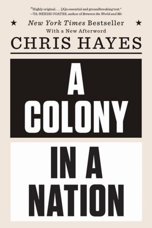 Cover of the book A Colony in a Nation by Christopher B. B. Krebs