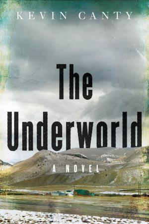 Cover of the book The Underworld: A Novel by Margaret Wehrenberg, Psy.D.