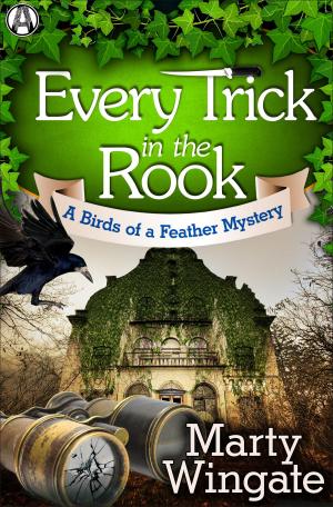 Cover of the book Every Trick in the Rook by Alex Ames
